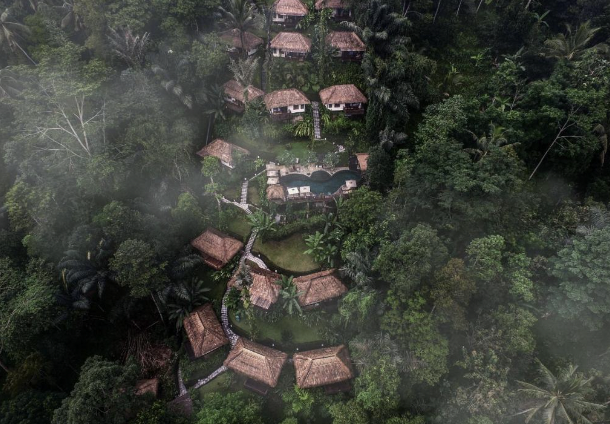 Nandini Jungle by Hanging Gardens
